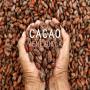 Cacao Venezuela
