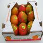 Export Mangue DU MALI COMPAGNE 2022