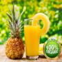 JUS D'ANANAS PULPEUX BIO