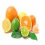 vente des agrumes 