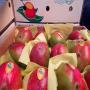 MANGUES  MALI  EXPORT