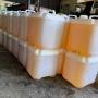 Huiles de tournesol 🌻 