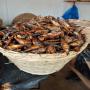 Vente de poissons fum&eacute;s