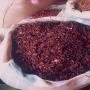 BISSAP VIMTO 