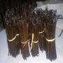Supplier for grade B vanilla beans  