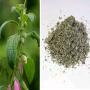 Produits naturels africain 