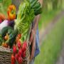 fruits, l&eacute;gumes,agricole orange,pomme de terrre