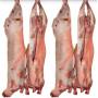 CARCASSE congel&eacute;e AGNEAU HALAL