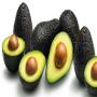 320 hectare divers fruits 
