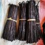 Exporter of vanilla pods in Madagascar