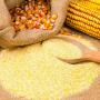 corn flour,corn semolina