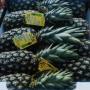 Partenariat Ananas pain de sucre B&eacute;nin