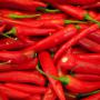 Piment s&egrave;che ou fra&icirc;che 