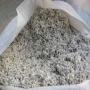 Graines de COTON