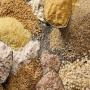 produits agroalimentaires russes