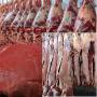 Beef carcasses