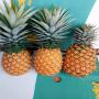 Vente d'ananas