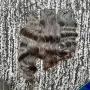 VENTE EN GROS DES CHEVEUX INDIENS 100% NATURELS