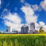 Agriculture intensive, industrie agro-alimentaire