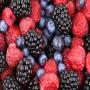myrtilles,  cassis et autres baies d'ukraine. 