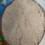 sésame blanc cultivé au burkina faso pur 