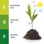 Fertilisants : Ur&eacute;e , NPK 