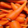 Carrot pour S&eacute;n&eacute;gal
