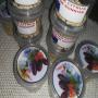 Graines fraiches de citron caviar Byron sunrise