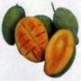 Mangos from Indonesia