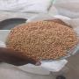 besoin des acheteurs de soja pour l'exportation 