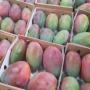 Recherche de clients grossistes fruits et l&eacute;gumes