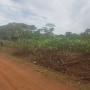 vente de terrain  bankomo cameroun 