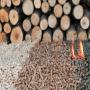 Pellet / Granul&eacute;s de bois 