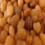 ricinodendron heudelotii,  aussi appelé apki 