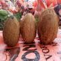 NOIX DE COCO
