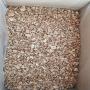 dried marasius oreades (faux mousseron)