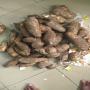 Manioc doux et leger  &agrave; vendre en gros 