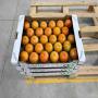 Produit marocaine frais