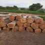 nous disposons de toute sorte de bois teack azobe