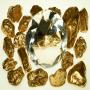 VENTE  D'OR ET DE DIAMANTS SERIEUSE