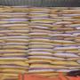 Riz indien 25% de brisure 