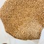 Soja bio disponible au b&eacute;nin 