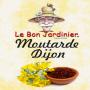 Moutarde dijon