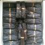 Madagascar Bourbon Vanilla beans harvested 2022