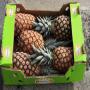 Vente ananas frais
