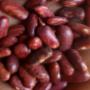 fruits secs, grains secs, oignons, l&eacute;gumes