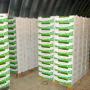 export fruits et l&eacute;gume datte