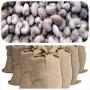Plusieurs tonnes de noix de cajou disponible
