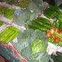 export fruits et l&eacute;gume datte