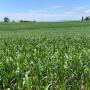 vente de produits agricoles